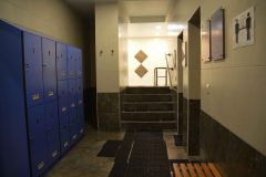 Wellness-01-scaled