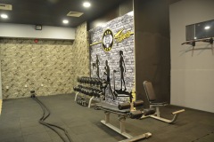 gim-03-75