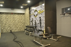 gim-03