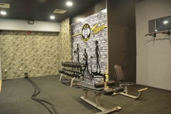 gim-06