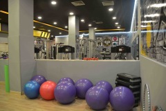 gim-07